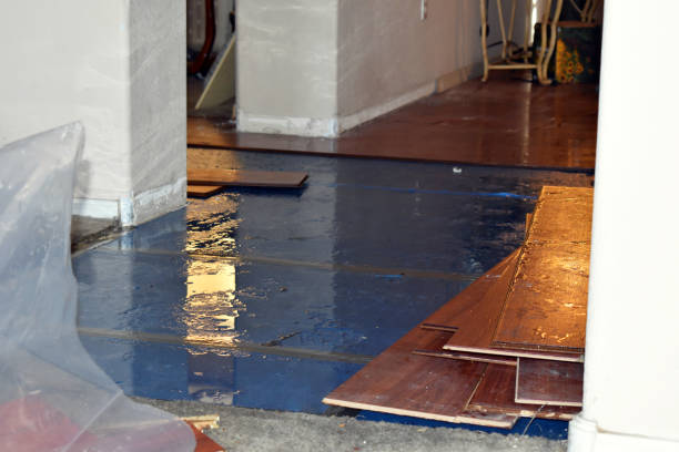 Professional Basement Flood Cleanup technician working in Roselle, NJ