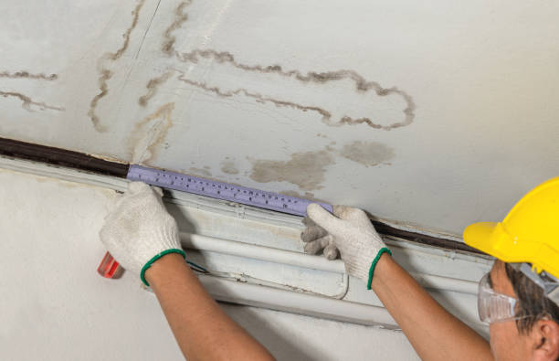 Reliable Basement Flood Cleanup contractor in Roselle, NJ by Aqua Guard Water Damage
